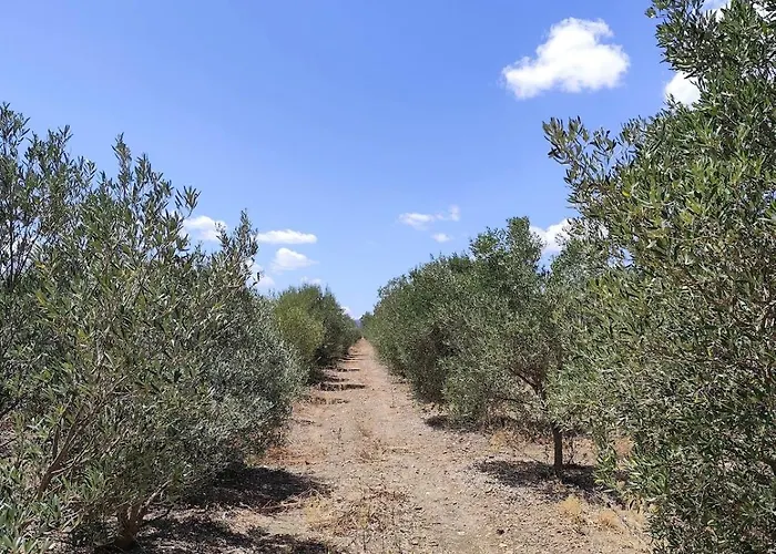 Countryside Guest Near Cagliari