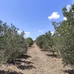 Agri Zayna Sardinia
