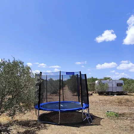 Agri Zayna Sardinia * Villaspeciosa