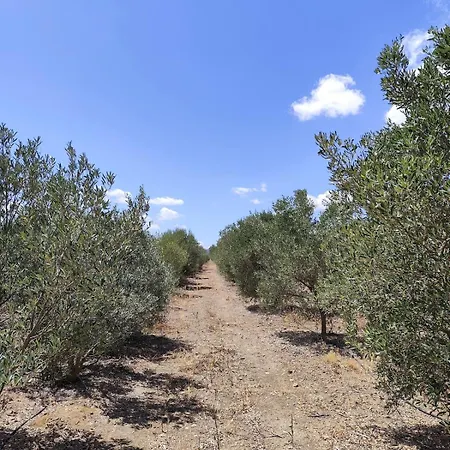 Agri Zayna Sardinia