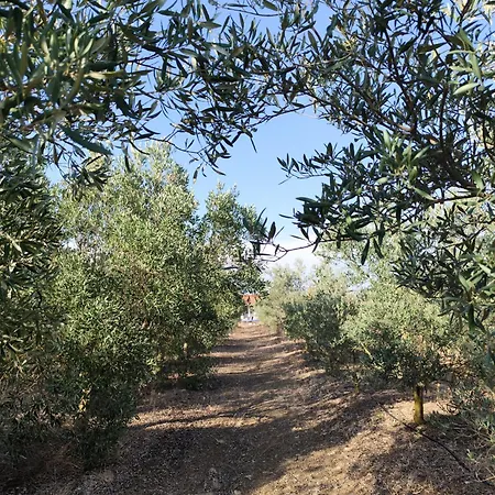 Agri Zayna Sardinia Apartamento