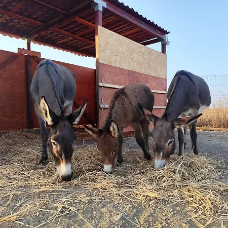 Agri Zayna Sardinia Apartamento