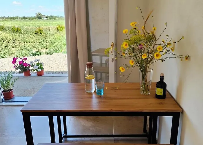 Countryside Guest Near Cagliari